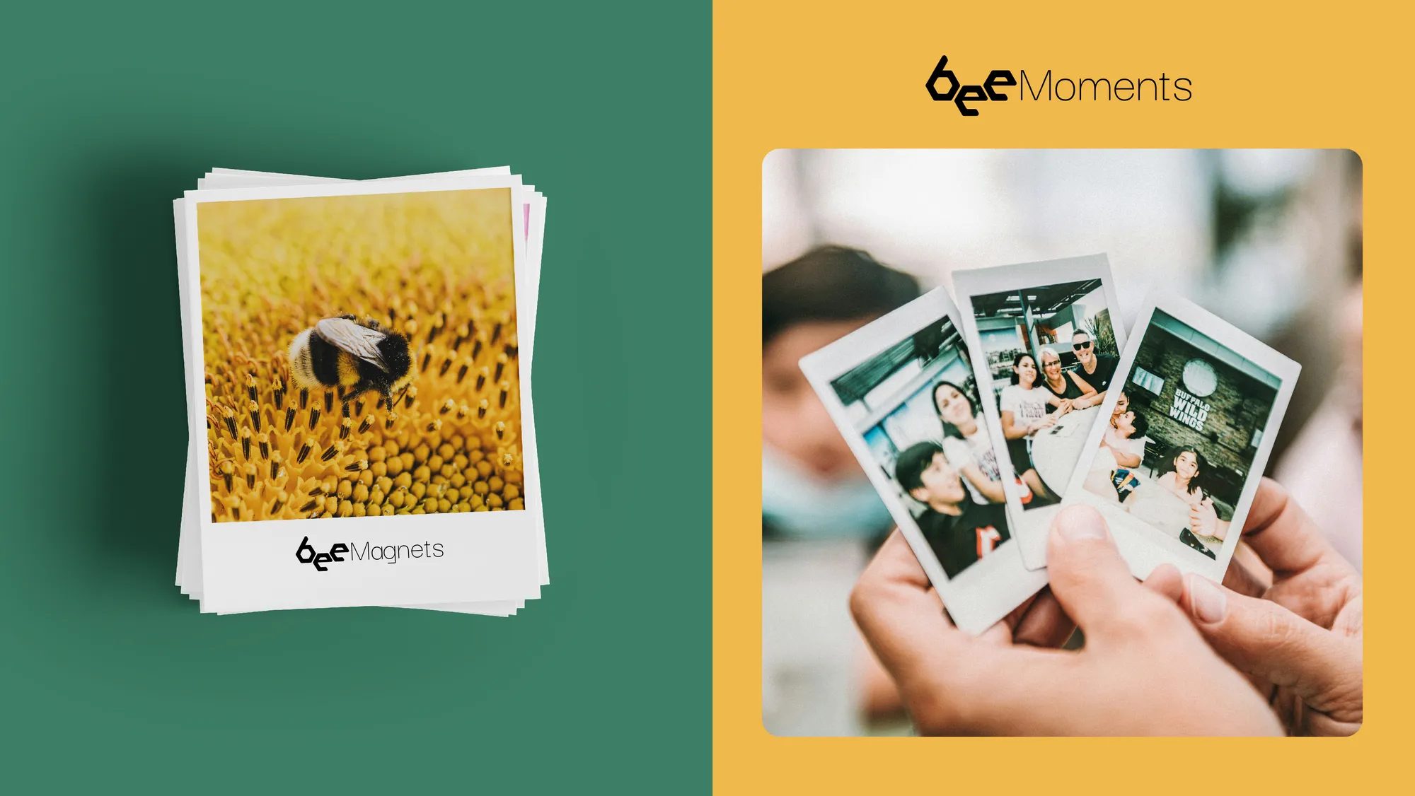 Bee magnets branding 08