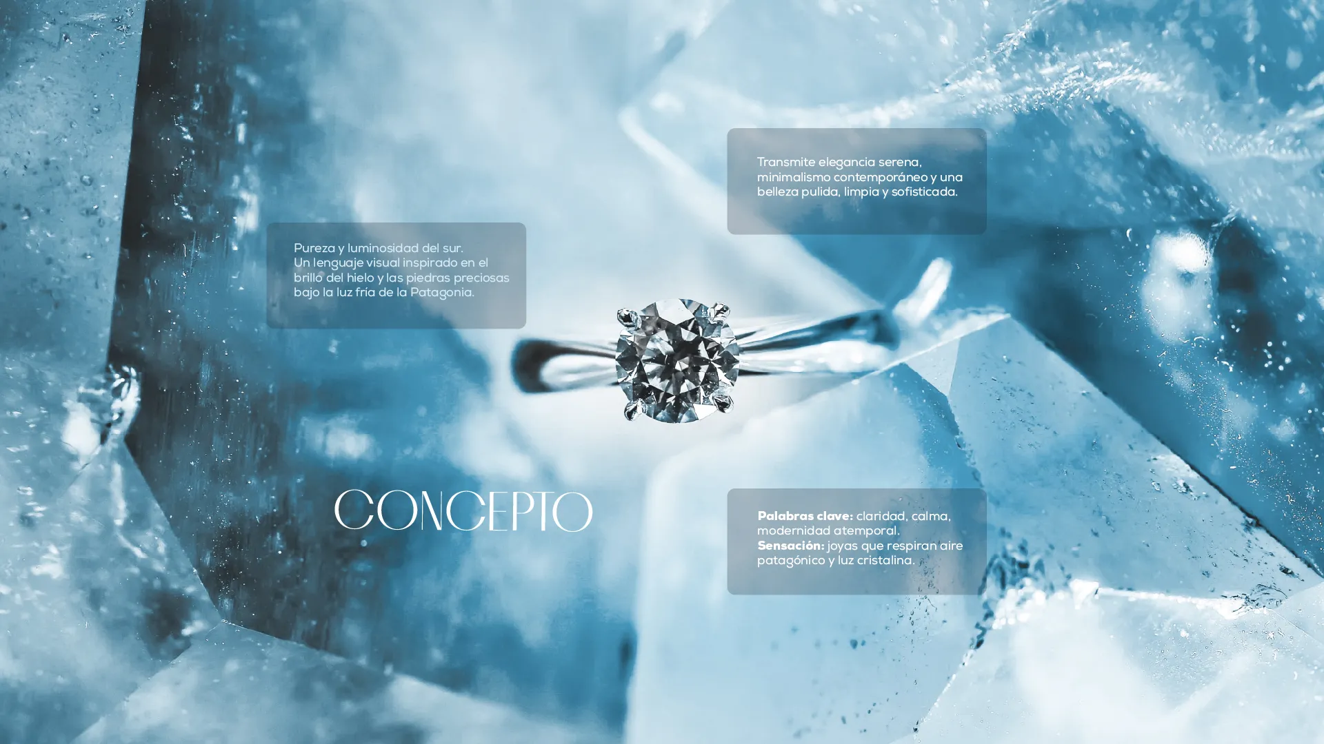 Joyeria lar branding 02