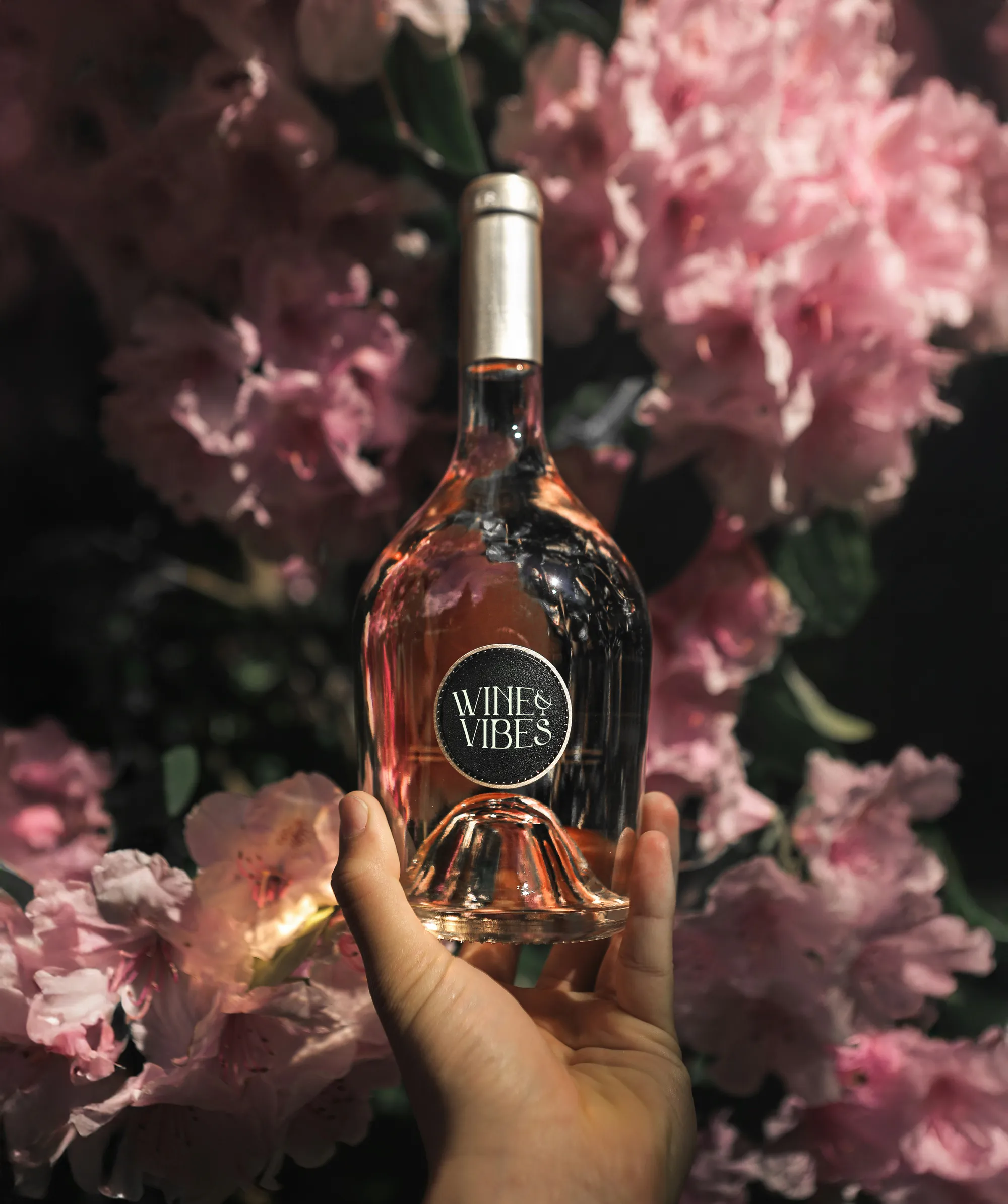 Wine & Vibes