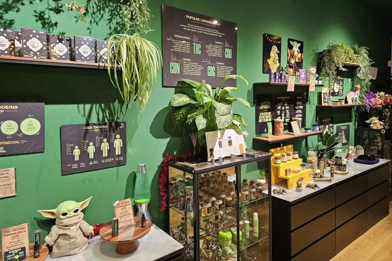 Zamalia store 01